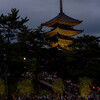 2014年8月11日の写真【なら燈花会】