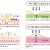 整膚講座＃１：整膚とは？