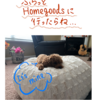 ふらっとHomegoodsに行ったら♪＃ショート