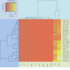 heatmap.2のlmatオプション