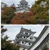 結果オ～ライの旅・・・再び郡上八幡へ♪