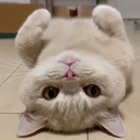 祖父母の教え