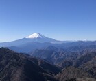 宮地山登山！鍋割山後沢右岸コースで伊勢沢ノ頭、檜岳山稜、寄周回！