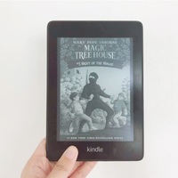 英語多読 初心者でもスラスラ 読みやすい Magic Tree House マジックツリーハウス シリーズ 詳しく解説 1 4 ビーチに寝転んで