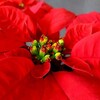 受信料・・・