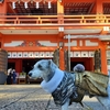 ❝千葉神社の神様　こんにちは😊❞　2021年10月30日（後編）