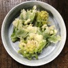 蕗の薹の天ぷら