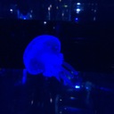 うみねこにっき