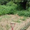 除草作業ビフォーアフター