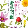 野草を楽しむ