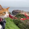 【旅行記】　あずきちゃんがいっぱい46