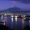 写真スポット情報満載！富士市の田子の浦みなと公園でわんことおでかけを楽しもう