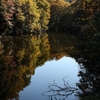 鎌倉　散在が池森林公園　紅葉