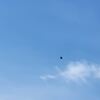 好みの違い・性格の違い