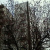 ＡＬＷ～八丁堀界隈