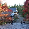 京都の紅葉 【神護寺 ⅱ/ⅱ】