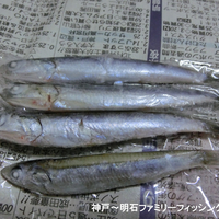 手作り釣り餌 冷凍アサリのむき身 ボイル 神戸 明石のファミリーフィッシング奮闘記 関西の釣りをもっと手軽に楽しむ