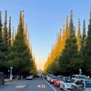 【明治神宮外苑とは？】英語3文で学ぶMeiji Jingu Gaien