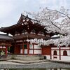 京都の宇治でも桜を見よう(2終)