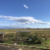 震災から早8年。北の大地からおばんでがす