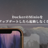 DockerのMinioをアップデートしたら起動しなくなった