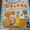 カルディで買ったもの～塩キャラメルバージョン～