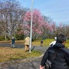 主人の自然治癒力