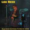 Lou Reed - What Ever Happened To Dick & Steve ?