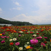 花の都公園