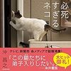 『猫丈記』～その三．「スマホの写真が猫だらけになる理由」