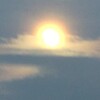 今日は望の月、満月です。又明日は大暑です。