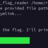 TryHackMe: Race Conditions writeup