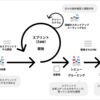 初心者向け：スクラムを実践して学んだアジャイルのポイント