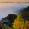 🍁絶景独り占め！亀岡・千手寺の雲海＆紅葉🍁