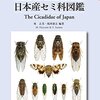 セミの鳴き声６種類とその感想