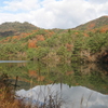 大野権現山