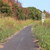 ただ今除草中！