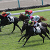 指名馬情報:牡馬第10位