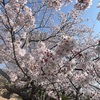 ふんわりと今日が着地する
