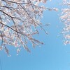 おしゃべりはだいじ