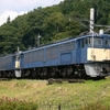 ダムツアーで出会った車両たち～電気機関車編その１３～ＥＦ６３