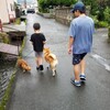 連休2日目もやはり雨…でもウナギ～♪