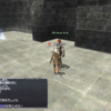 【第１１回】FINAL FANTASY XI【新米冒険者指導５】