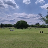 国営昭和記念公園&家の草花🌹