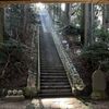 神さまｷﾀ――(ﾟ∀ﾟ)――!!【鷲子山上神社】で神さまのおもてなしをいただいた日＠茨城・栃木2025