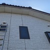 コウモリのご相談