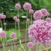 東京都薬用植物園(東京都小平市)