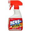 お風呂のコーキングに生えた黒カビ退治