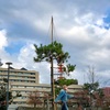 喧騒と長閑が同居する街