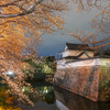 水口城跡の桜